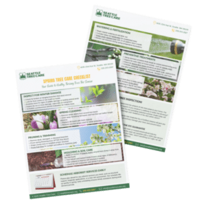 Spring tree care checklist for Seattle residents.