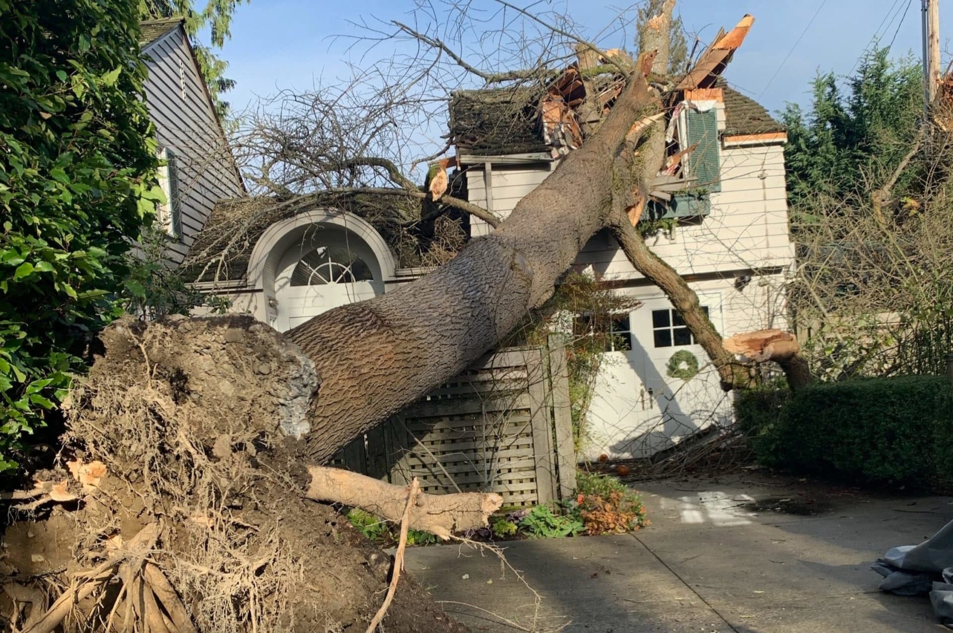 A storm-fallen tree on a house damaging the whole property and needs an emergency clean up