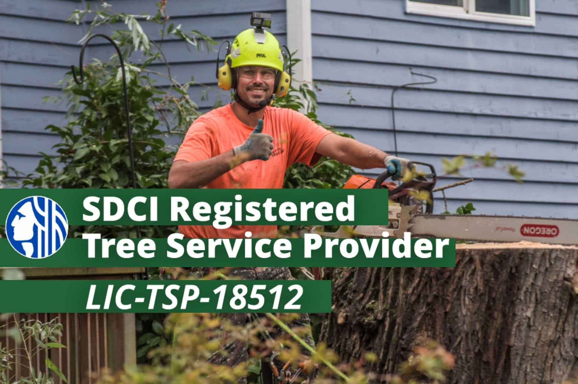 Seattle Registered Tree Service Provider - Seattle Tree Care - Greater ...