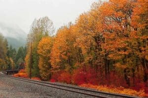 Train Tracks run with a red, orange, and yellow forest behind them demonstrating the best fall leaf colors in the Seattle area.