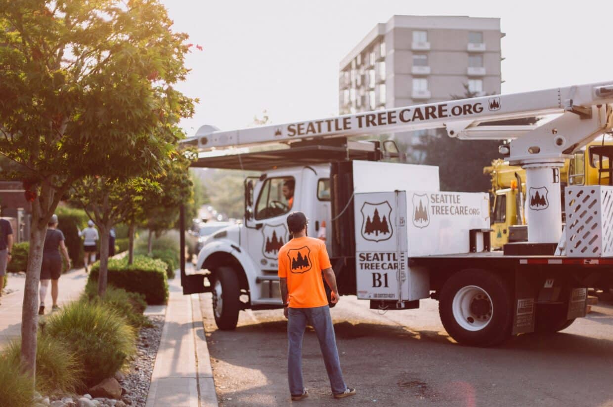 Seattle Tree Care professional crew with branded white bucket truck and safety equipment working on tree care project in urban neighborhood near downtown Seattle.
