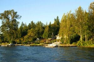 Lake Washington waterfront estate with mature evergreen and deciduous trees partially obscuring water views from private dock in golden evening light.
