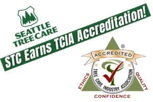 Seattle Tree Care logo and TCIA Accreditation logo showing that STC is Accredited.