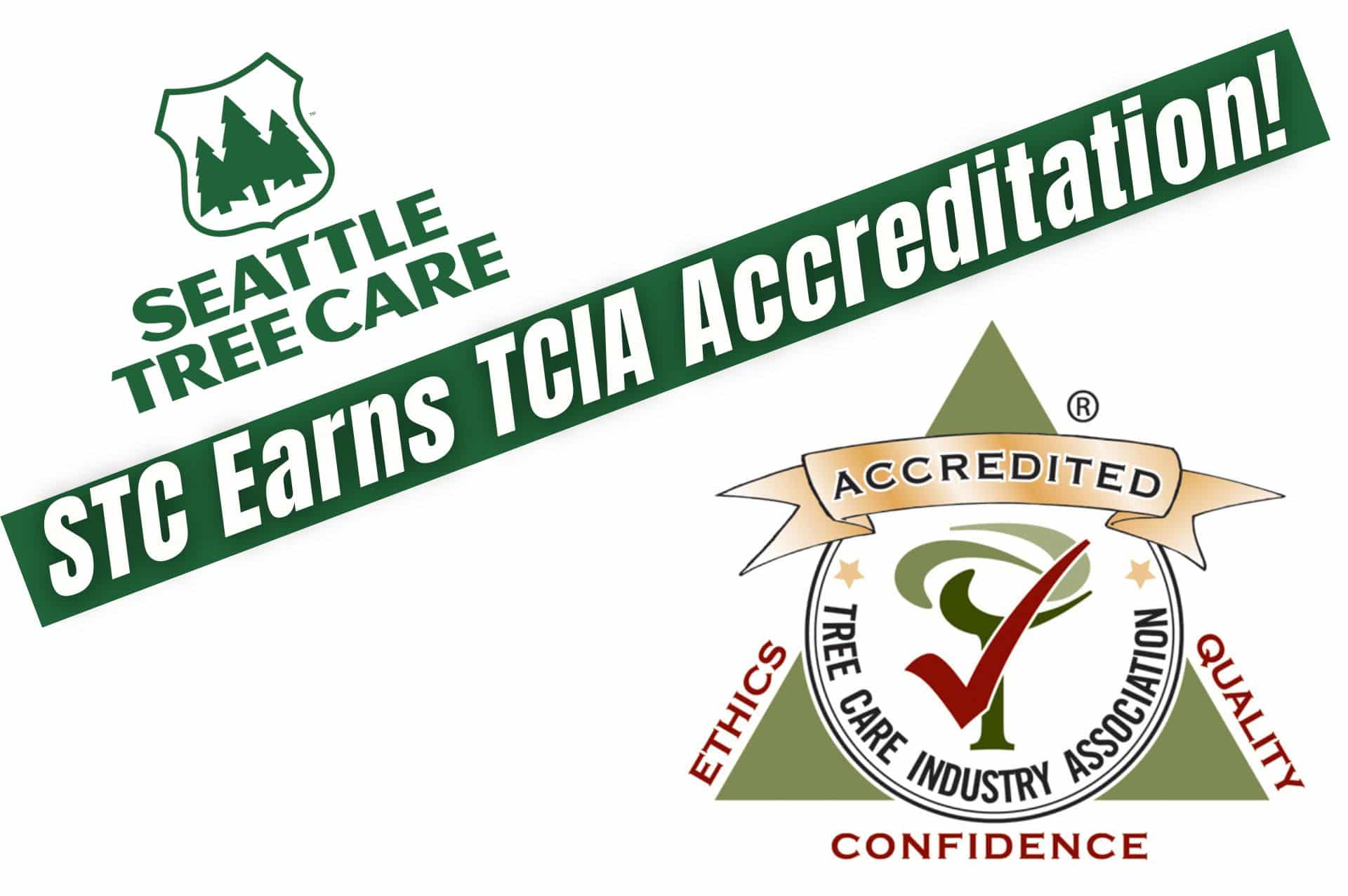 Seattle Tree Care Earns TCIA Accreditation Seattle Tree Care