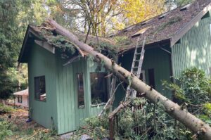 A leaning tree that damaged the roof of a house with green paint in Seattle.