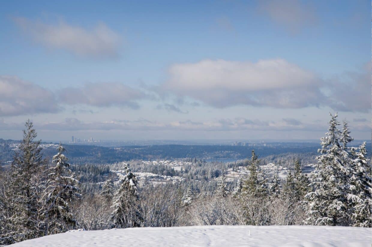 A snowy, winter landscape near Seattle, Washington.