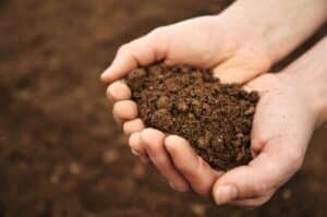 Homeowner holding rich, living soil in their yard near Seattle, WA.