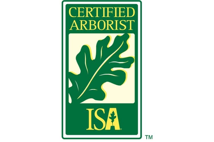 ISA certified arborist logo