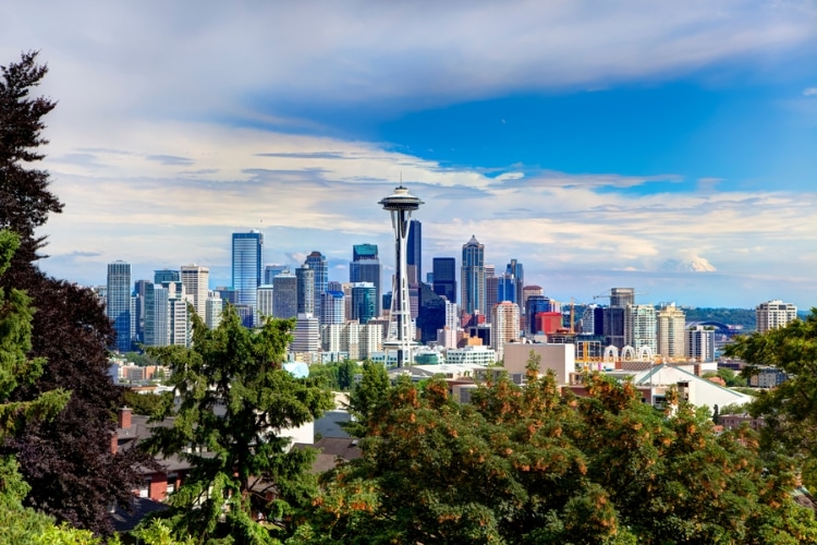 The urban forest in downtown Seattle during a hot, dry summer.