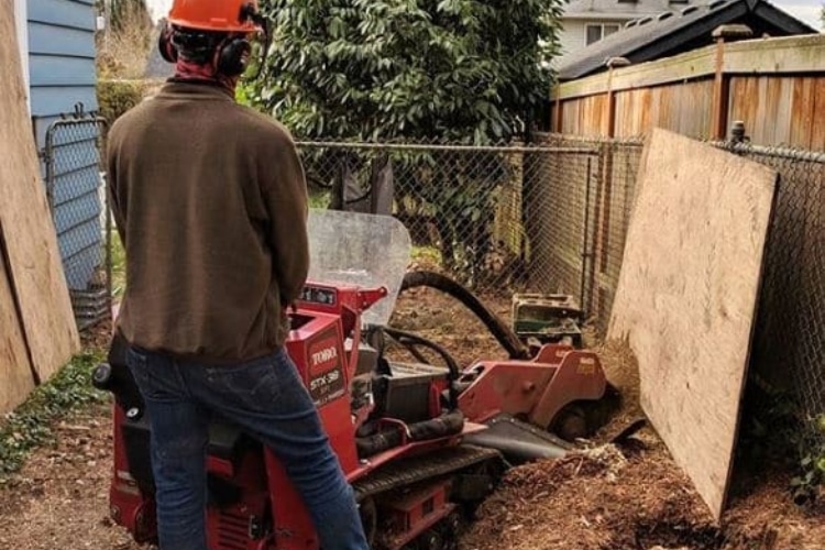 STC crew grinding a stump on close property near Seattle City