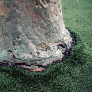 STC-fact-sheet-artificial-turf-tree