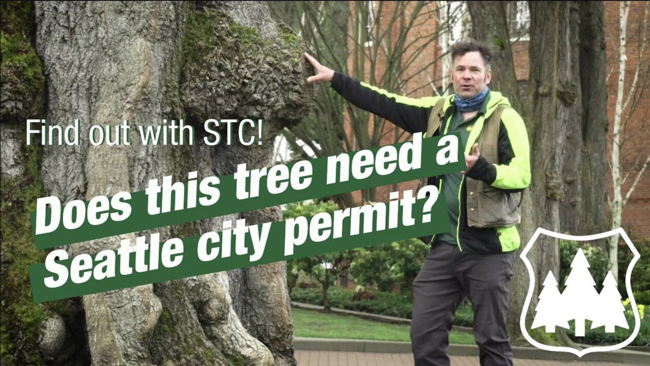 Peter Gruenwoldt of Seattle Tree Care explaining whether a tree needs a city permit.