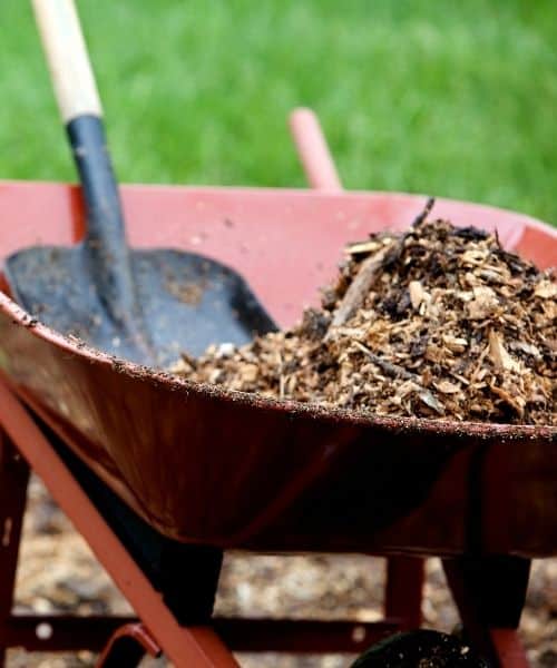 STC-wheel-barrow-arborist-chips