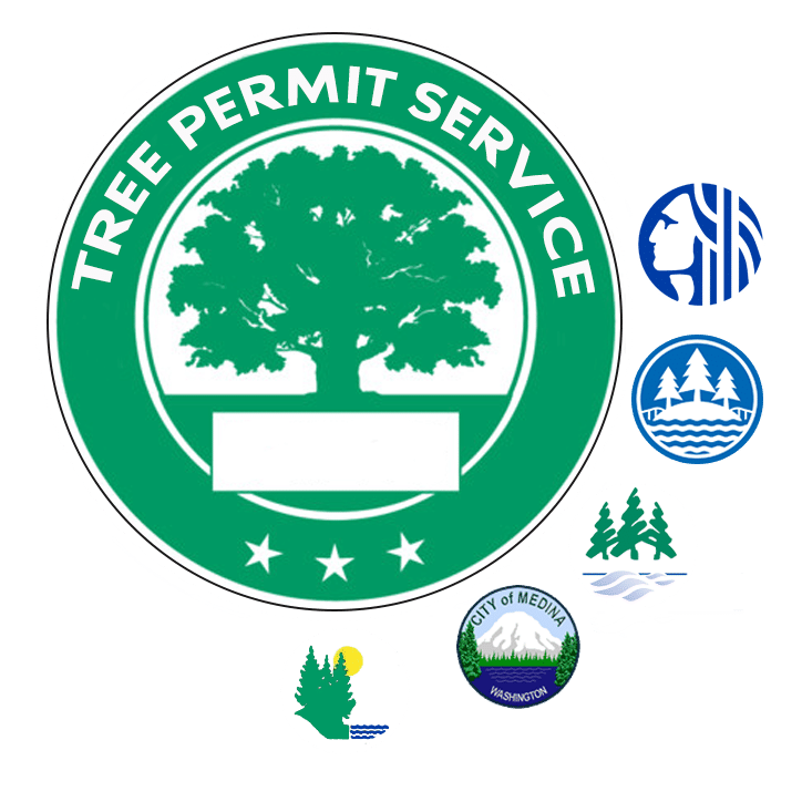About Tree Permits In Seattle, WA Seattle Tree Care