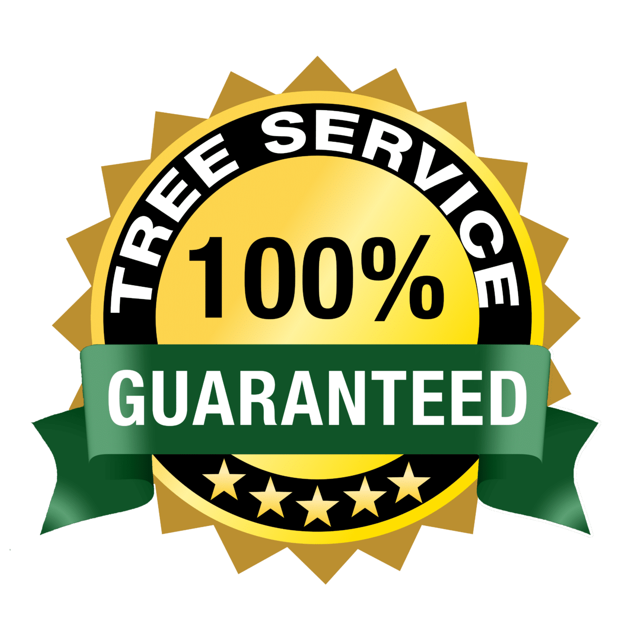 Seattle Tree Care, Tree Service Company Removal, Pruning, Inspections