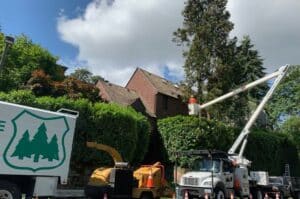 Arborist in a bucket truck pruning a mature tree beside a Seattle home.