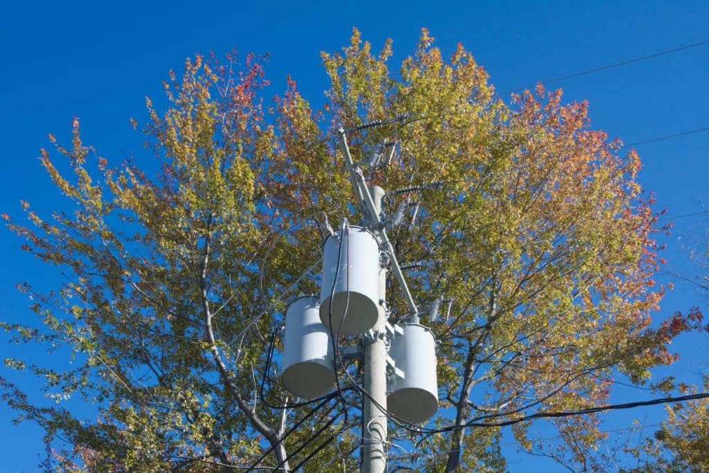 prevent-emergency-tree-trimming-service-powerlines