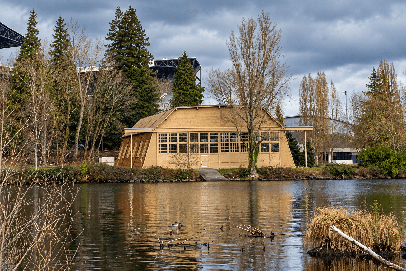 Large Lombardy poplar beside the University of Washington Shell House on the Lake Washington waterfront before removal.